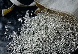 CY1026 Silver (Ag) Catalyst (Organo-metallic Catalyst)